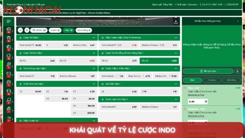 Khái quát về tỷ lệ cược Indo